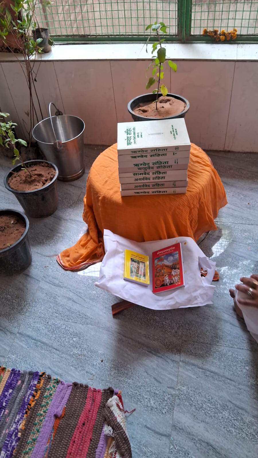 IBF Mataji Gaushala 17