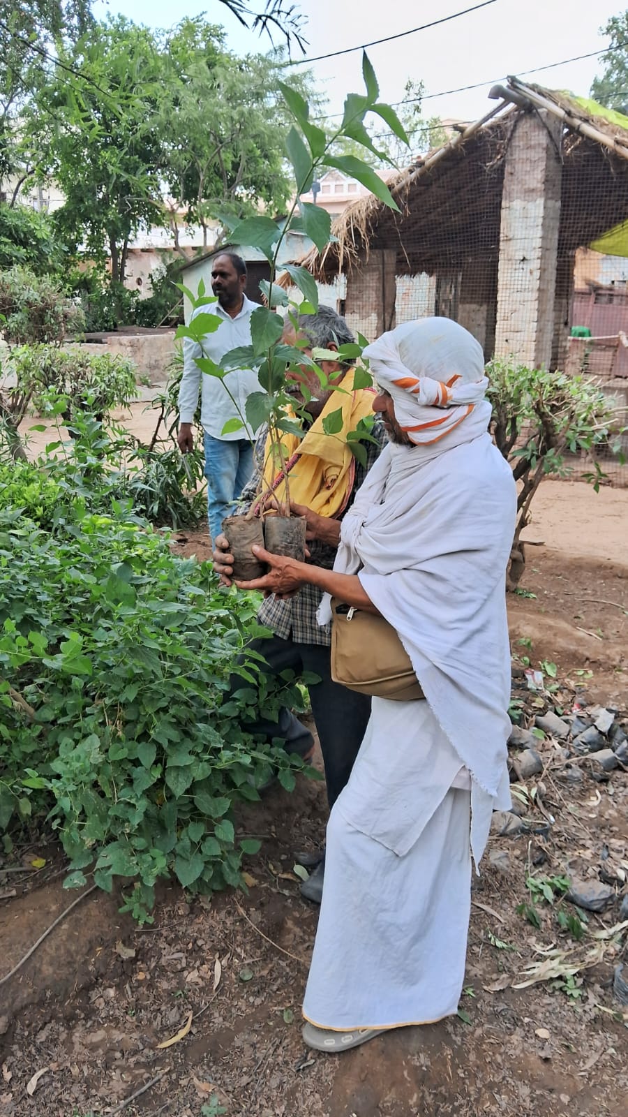 IBF Mataji Gaushala 27